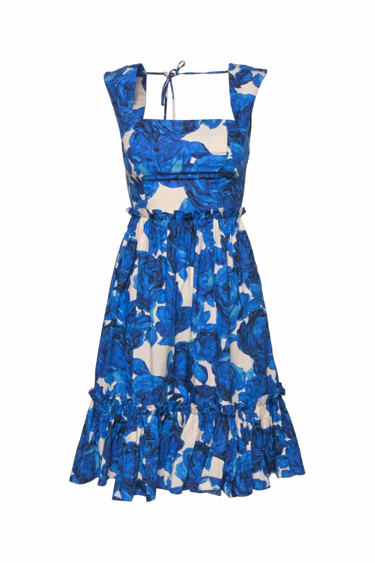 Cara Cara Size 0 Claire Floral Print Dress