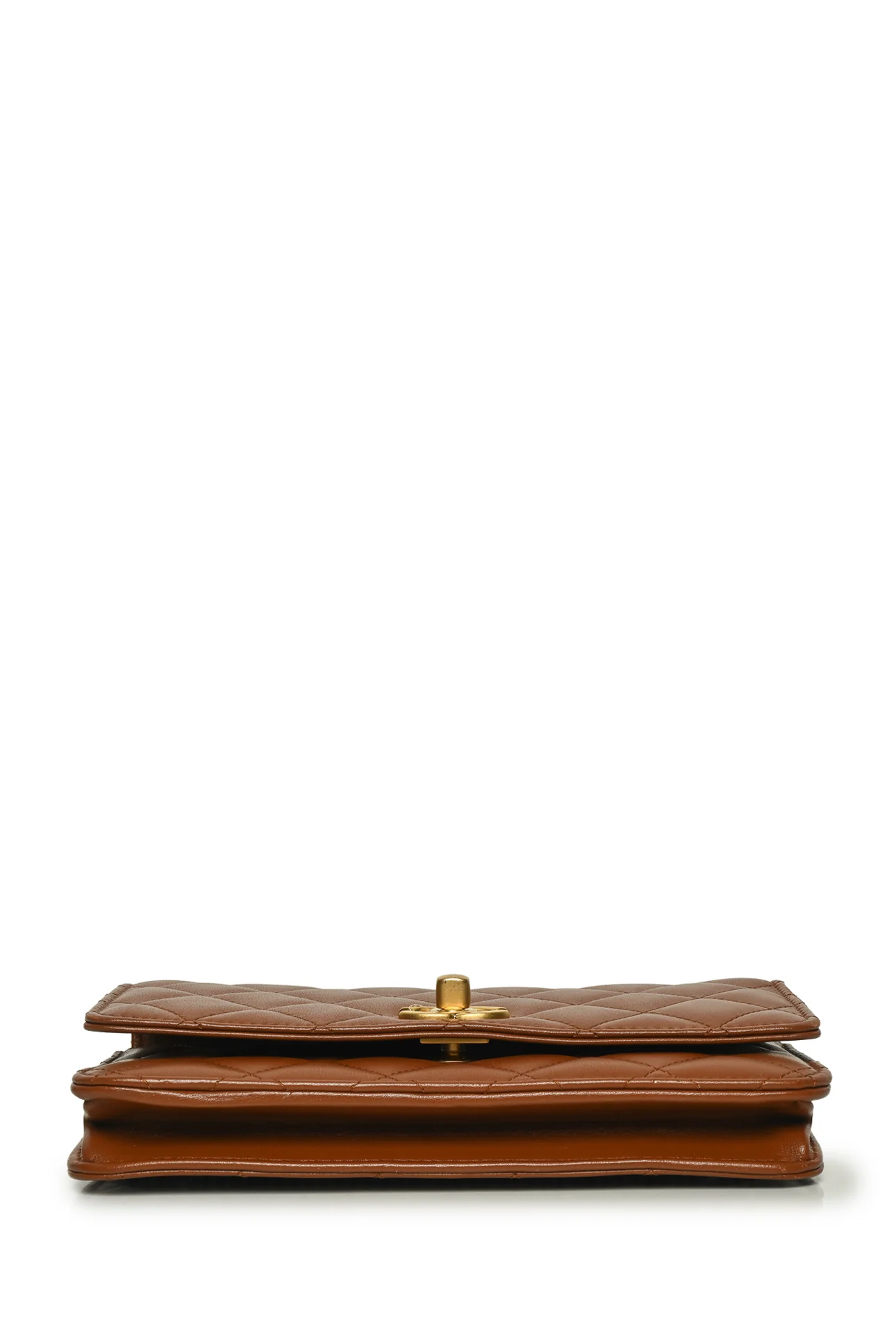 Chanel 23A Limited Edition Leo Top Handle Wallet on Chain - Image 3