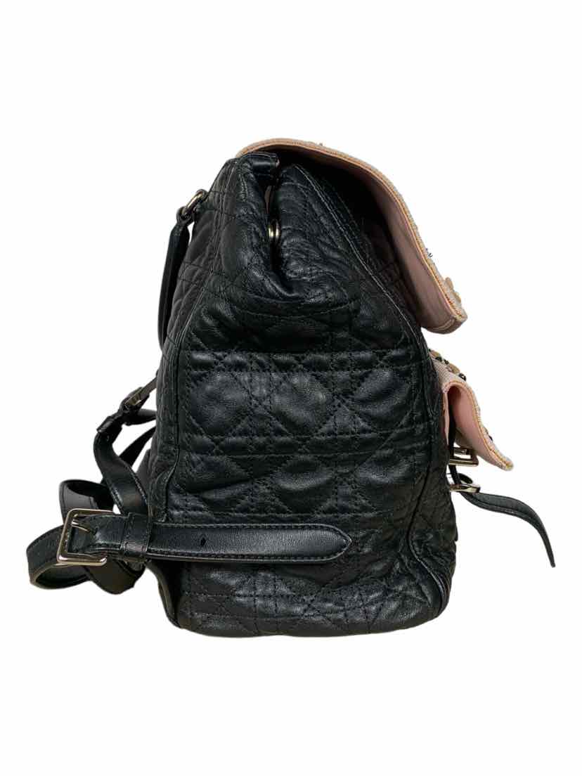 Christian Dior Lambskin Mesh Cannage Embroidered Stardust Backpack - Image 3