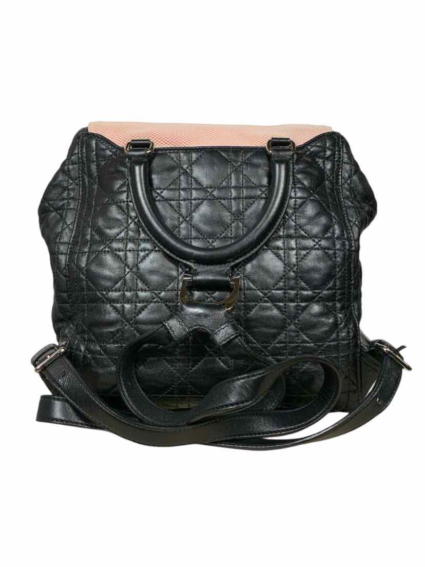 Christian Dior Lambskin Mesh Cannage Embroidered Stardust Backpack - Image 4