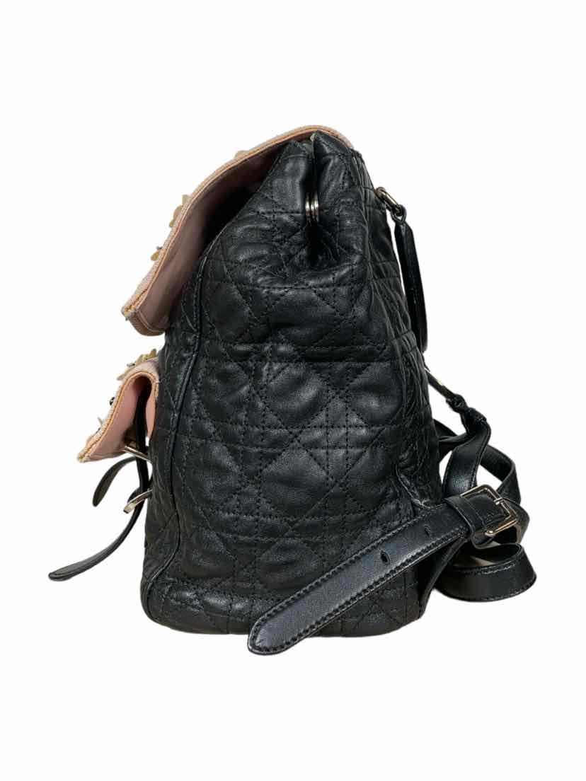 Christian Dior Lambskin Mesh Cannage Embroidered Stardust Backpack - Image 5