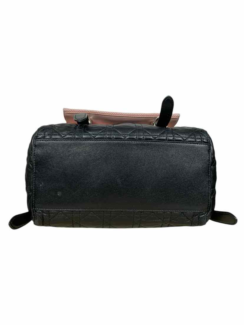 Christian Dior Lambskin Mesh Cannage Embroidered Stardust Backpack - Image 6