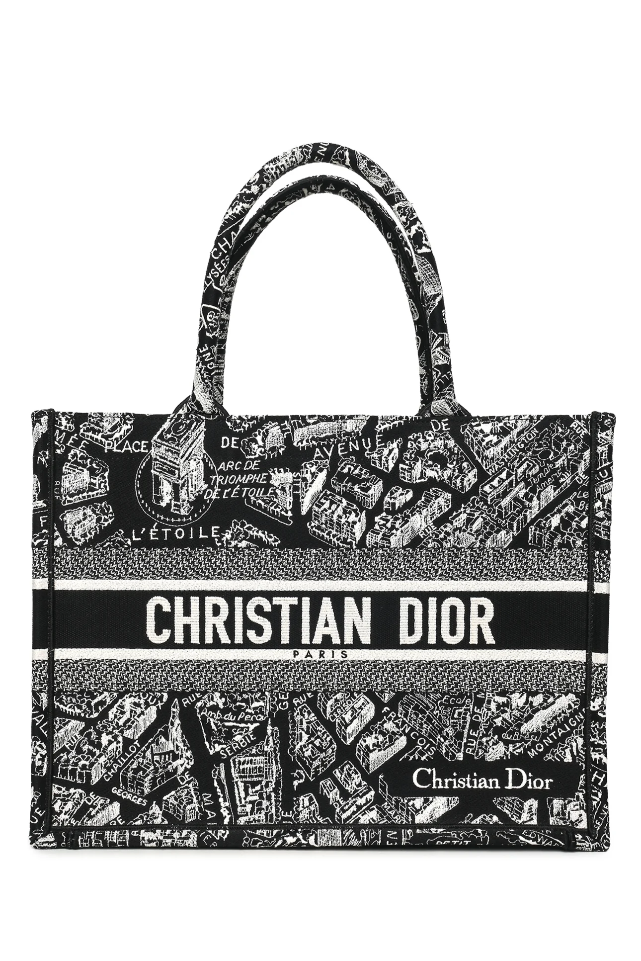 Dior 2022 Medium Plan De Paris Book Tote