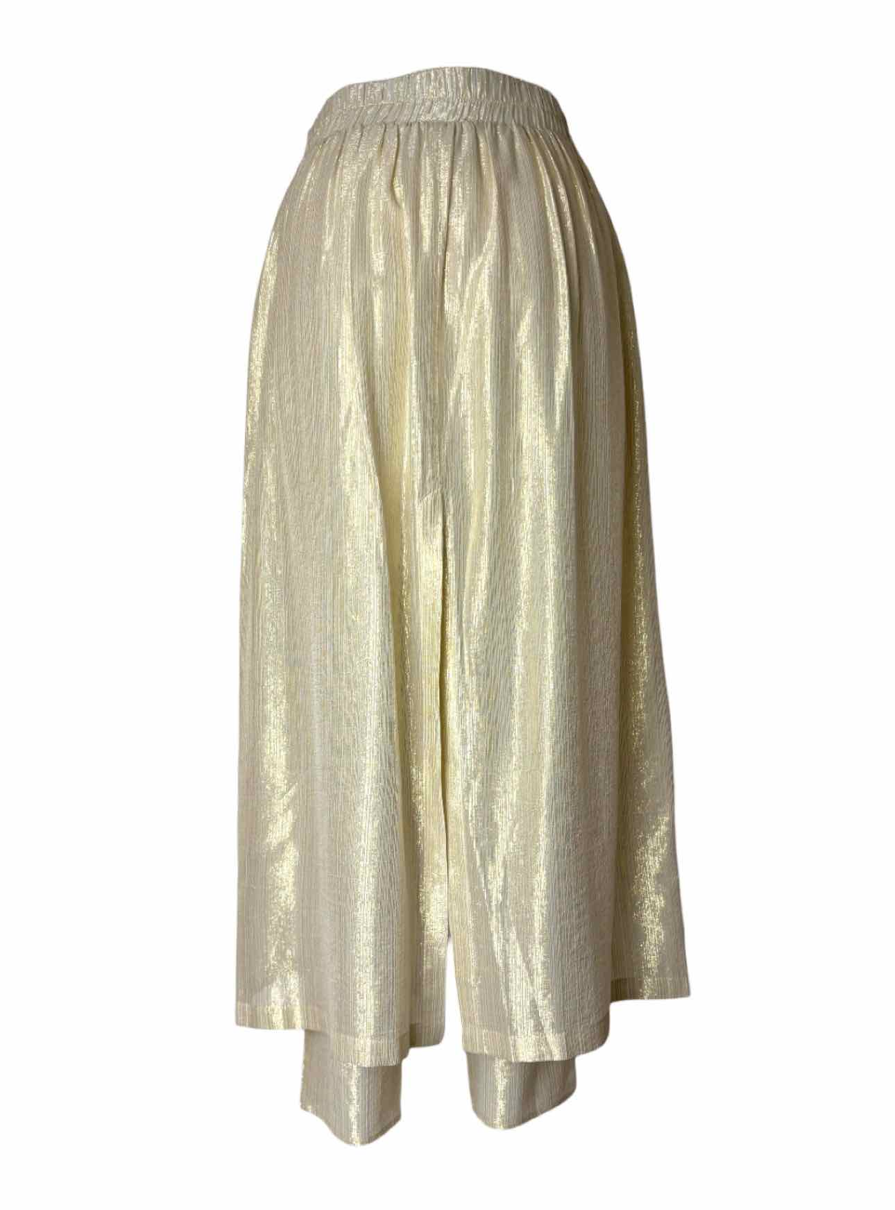 Dusan Size M Golden Age Lame Pants w/Skirt - Image 2