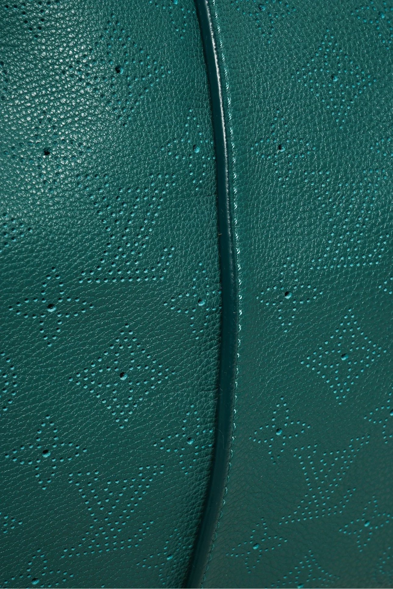 Louis Vuitton 2012 Lagon Monogram Mahina Selene GM Bag - Image 5