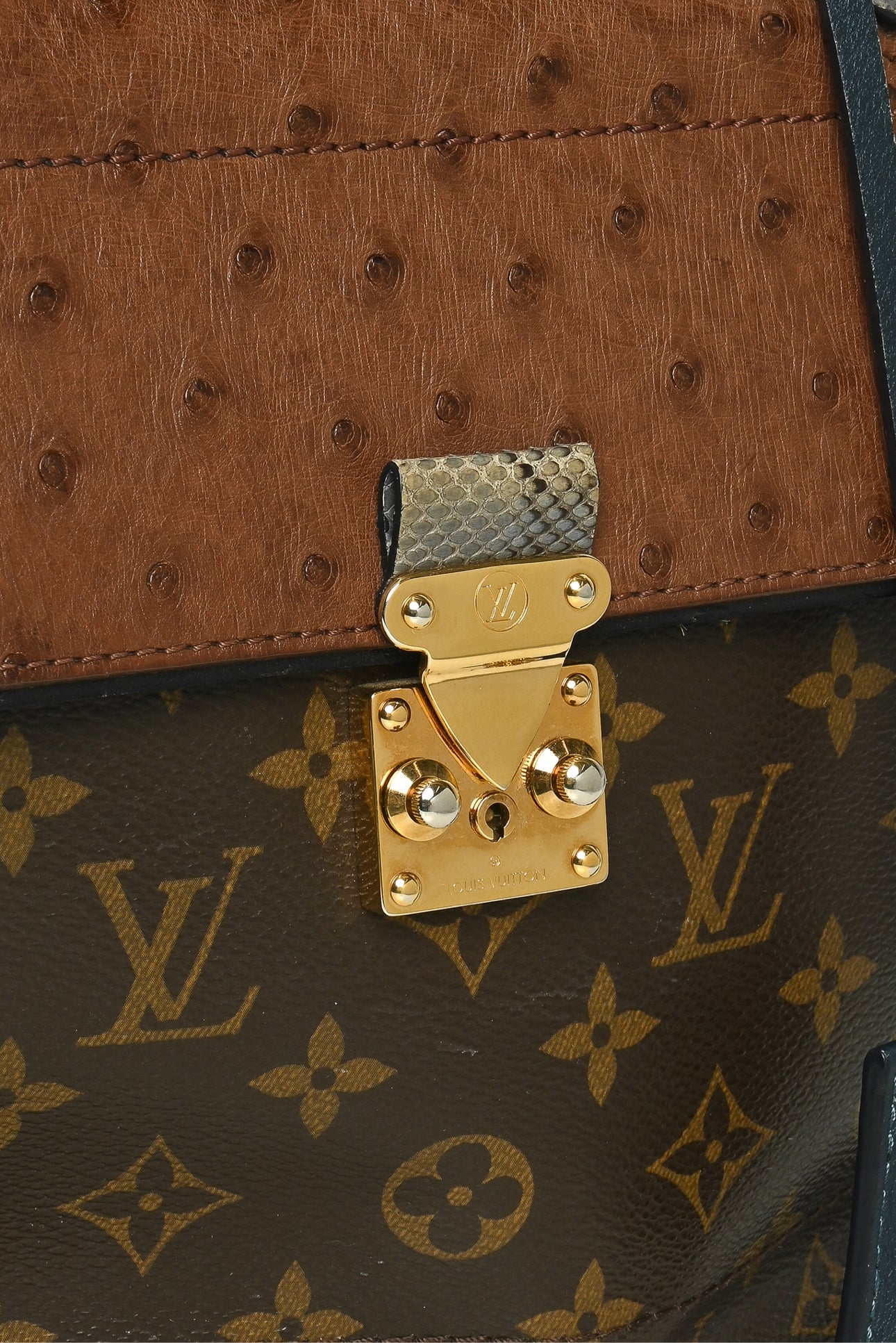 Louis Vuitton Canvas, Leather, Ostrich & Python Majestueux Exotique MM Tote - Image 7