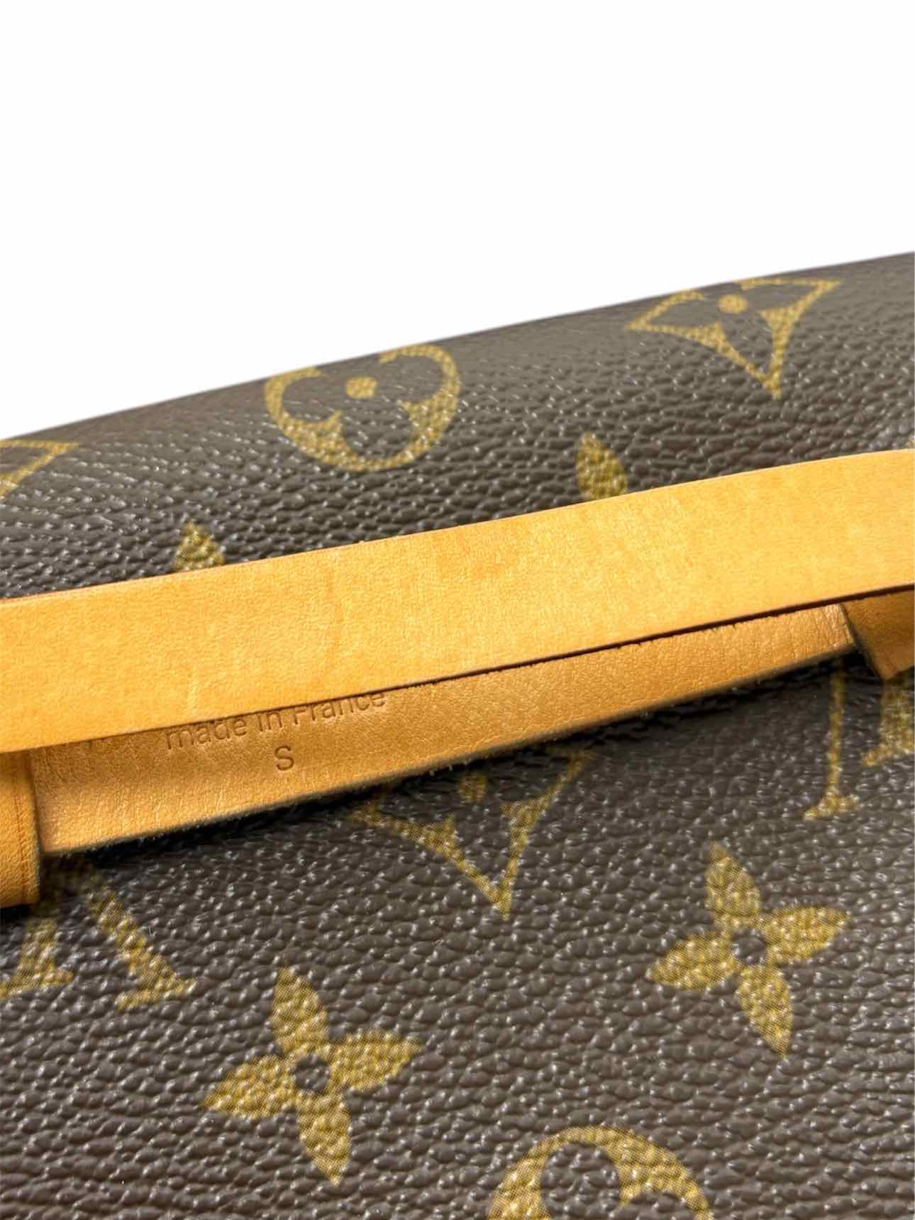 Louis Vuitton Monogram  Pochette Florentine Belt Bag - Image 10